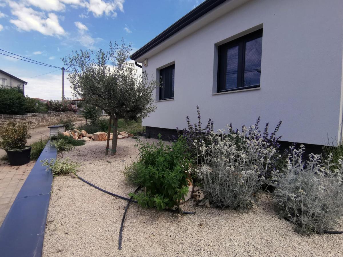 Villa Oliva Umag Zewnętrze zdjęcie